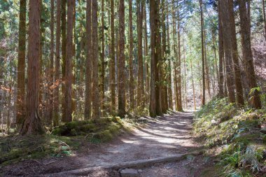 Gifu, Japonya - Nakatsugawa, Gifu, Japonya 'da Tsumago-juku ve Magome-juku arasında güzel manzara. Nakasendo ünlü bir antik yoldur..