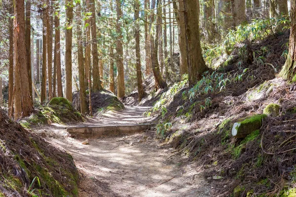 Gifu Japan Vacker Naturskön Utsikt Från Mellan Tsumago Juku Och — Stockfoto