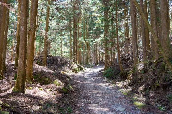Nagano, Japonya - Nagiso, Nagano, Japonya 'da Nakasendo' da Tsumago-juku ve Magome-juku arasında güzel manzara. Nakasendo ünlü bir antik yoldur..