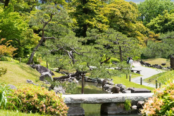 日本东京 日本东京九世巴丽宇花园 这个花园是日本现代东京两个幸存的江户氏族花园之一 — 图库照片