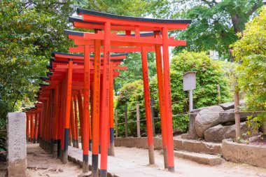 Tokyo, Japonya - Tokyo, Japonya 'daki Nezu Tapınağı. Tokyo 'daki 10 tapınaktan biri..