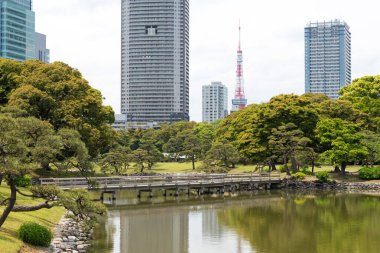 Tokyo, Japonya - Tokyo, Japonya 'daki Hamarikyu Bahçeleri. 17. yüzyılda Shogun Tokugawa ailesinin bir villasının bahçesinde yenilenmiş..