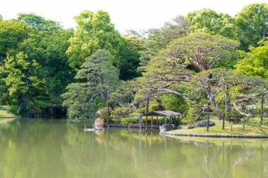 Tokyo, Japonya - Tokyo, Japonya 'daki Rikugien Bahçeleri. Parkın inşaatı 1695 ve 1702 yılları arasında gerçekleşti..