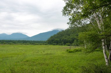Nikko, Japonya - Odashirogahara bataklığı. Ramsar siteleri ve Nikko Ulusal Parkı Nikko, Tochigi, Japonya.