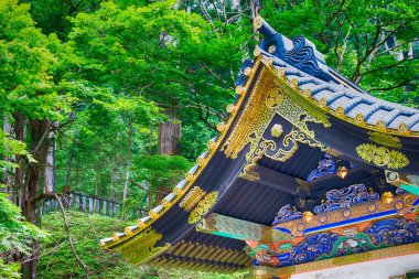 Nikko, Japonya - Nikko, Tochigi, Japonya 'daki Taiyuin Anıtmezarı. Nikko 'nun Tapınakları ve Tapınakları Dünya Mirası Alanının bir parçasıdır..