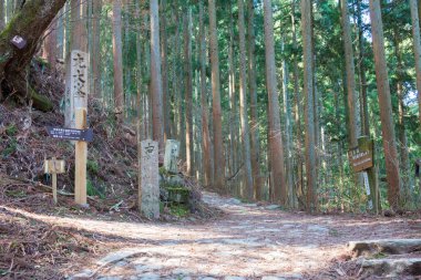 Nara, Japonya - Yoshino, Nara, Japonya 'daki Omine Okugakemichi Hac Yolu. Burası UNESCO 'nun Dünya Mirası Bölgesi - Kii Dağları' ndaki Kutsal Mekanlar ve Hac Rotaları.
