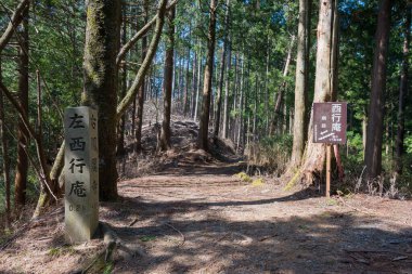 Nara, Japonya - Yoshino, Nara, Japonya 'daki Omine Okugakemichi Hac Yolu. Burası UNESCO 'nun Dünya Mirası Bölgesi - Kii Dağları' ndaki Kutsal Mekanlar ve Hac Rotaları.