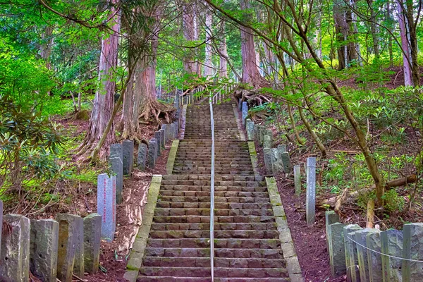 Nikko Japonia Szlak Turystyczny Prowadzący Futarasan Jinja Chugushi Sanktuarium Góry — Zdjęcie stockowe