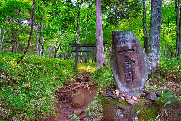 Nikko Japan Vandringsled Från Futarasan Jinja Chugushi Helgedom Till Nantai — Stockfoto