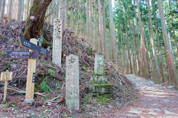 Omine Okugakemichi朝圣之路位于日本奈良吉野 它是联合国教科文组织世界遗产的一部分 基山脉的圣地和朝圣路线 — 图库照片