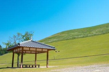 Nara, Japonya - Japonya 'daki Nara Parkı' nda Wakakusa Dağı.