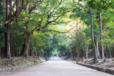 Nara, Japonya - Nara, Japonya 'daki Kasuga Taisha Tapınağı (Kasuga Büyük Tapınağı). UNESCO Dünya Mirası Sitesi - Antik Nara Tarihi Anıtları.