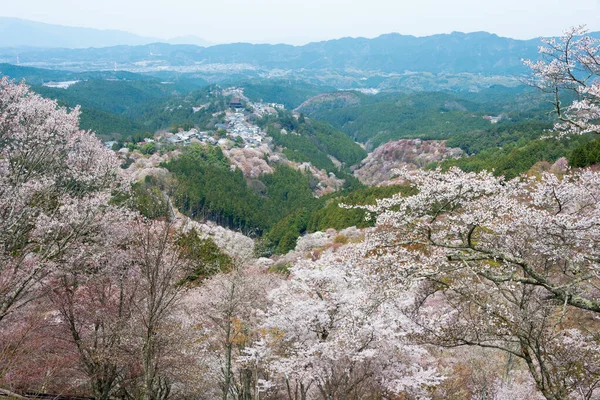 日本奈良 在日本奈良吉诺山的甲森本地区盛开樱花 吉诺山是联合国教科文组织世界遗产圣址的一部分 吉山山脉的圣地和朝圣路线 — 图库照片