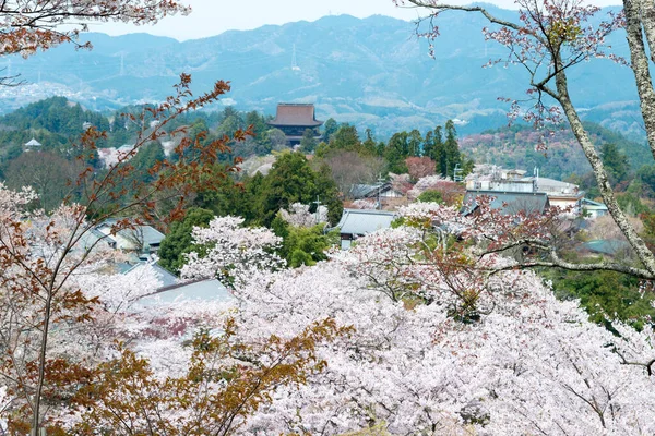 日本奈良 在日本奈良吉诺山的甲森本地区盛开樱花 吉诺山是联合国教科文组织世界遗产圣址的一部分 吉山山脉的圣地和朝圣路线 — 图库照片