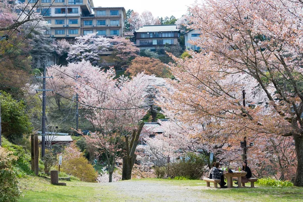 奈良県 奈良県吉野郡中千本地区の桜 世界遺産に登録されている吉野山 紀伊山地の霊場と参詣道 — ストック写真