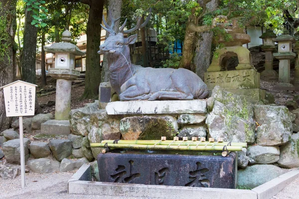 Nara Japonya Nara Japonya Daki Kasuga Taisha Tapınağı Kasuga Büyük — Stok fotoğraf