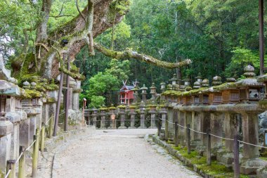 Nara, Japonya - Nara, Japonya 'daki Kasuga Taisha Tapınağı (Kasuga Büyük Tapınağı). UNESCO Dünya Mirası Sitesi - Antik Nara Tarihi Anıtları.
