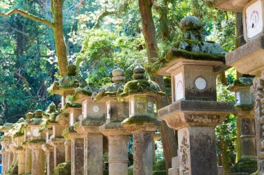 Nara, Japonya - Nara, Japonya 'daki Kasuga Taisha Tapınağı (Kasuga Büyük Tapınağı). UNESCO Dünya Mirası Sitesi - Antik Nara Tarihi Anıtları.