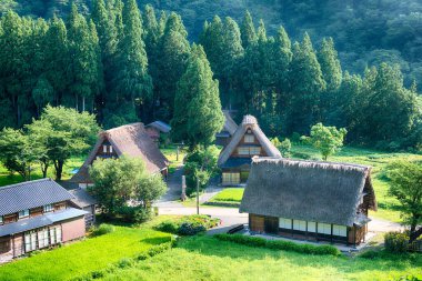 Nanto, Japonya - Suganuma Köyü, Gokayama Bölgesi, Nanto Şehri, Toyama Bölgesi, Japonya 'daki Gthe-zukuri evleri. UNESCO Dünya Mirası Bölgesi - Shirakawa-go ve Gokayama 'nın Tarihi Köyleri.
