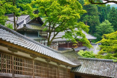 Fukui, Japonya - Eiheiji Town 'daki Eiheiji Tapınağı, Fukui Bölgesi, Japonya. Eiheiji Japonya 'daki Soto Budizm Okulu' nun iki ana tapınağından biridir..