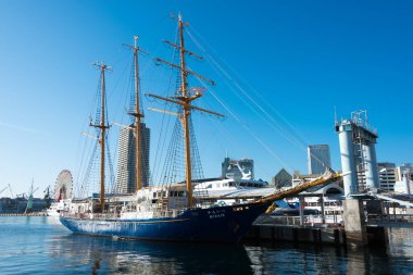 Hyogo, Japonya - Kobe, Hyogo, Japonya 'daki Meriken Park' tan güzel manzara.
