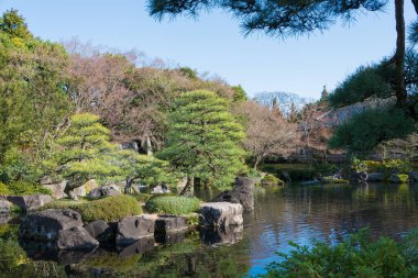 Hyogo, Japonya - Himeji Kalesi yakınlarındaki Koko-en Bahçeleri, Hyogo, Japonya. Koko-en Himeji Kalesi 'nin yanında bir Japon bahçesidir..