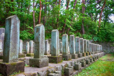 Hakodate, Japonya - Hakodate City, Hokkaido, Japonya 'daki Hakodate Gokoku Tapınağı' nda yeni hükümet askeri mezarlığı. Ünlü tarihi bir yer..