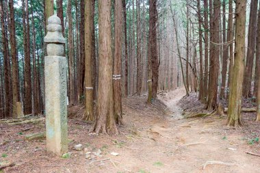 Wakayama, Japonya - Koyasan choishi-michi Kudoyama, Wakayama, Japonya. UNESCO 'nun Dünya Mirası Alanındaki 