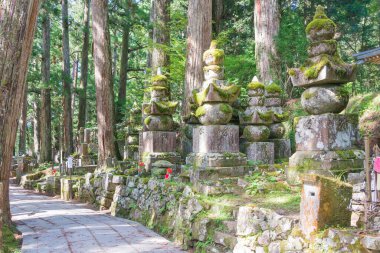 Wakayama, Japonya - Mar 22 2019 - Koya, Wakayama, Japonya 'daki Koya Dağı' ndaki Okunoin Mezarlığı. Koya Dağı UNESCO Dünya Mirası Alanıdır.