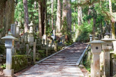 Wakayama, Japonya - Mar 22 2019 - Koya, Wakayama, Japonya 'daki Koya Dağı' ndaki Okunoin Mezarlığı. Koya Dağı UNESCO Dünya Mirası Alanıdır.
