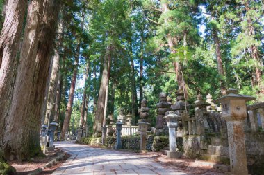 Wakayama, Japonya - Mar 22 2019 - Koya, Wakayama, Japonya 'daki Koya Dağı' ndaki Okunoin Mezarlığı. Koya Dağı UNESCO Dünya Mirası Alanıdır.