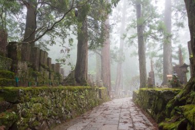 Wakayama, Japonya - Mar 21 2019 - Koya, Wakayama, Japonya 'daki Okunoin Mezarlığı. Koya Dağı UNESCO 'nun Dünya Mirası Bölgesi Kii Dağları' ndaki kutsal mekanlar ve hac rotalarıdır..