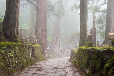 Wakayama, Japonya - Koya, Wakayama, Japonya 'daki Okunoin Mezarlığı. Koya Dağı UNESCO 'nun Dünya Mirası Bölgesi Kii Dağları' ndaki kutsal mekanlar ve hac rotalarıdır..