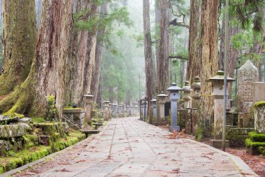 Wakayama, Japonya - Koya, Wakayama, Japonya 'daki Okunoin Mezarlığı. Koya Dağı UNESCO 'nun Dünya Mirası Bölgesi Kii Dağları' ndaki kutsal mekanlar ve hac rotalarıdır..