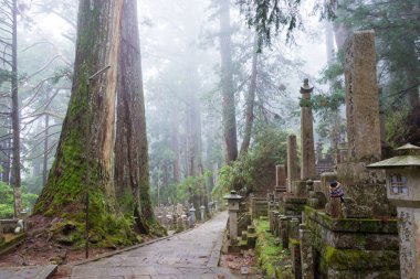 Wakayama, Japonya - Koya, Wakayama, Japonya 'daki Okunoin Mezarlığı. Koya Dağı UNESCO 'nun Dünya Mirası Bölgesi Kii Dağları' ndaki kutsal mekanlar ve hac rotalarıdır..