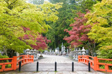 Wakayama, Japonya - Koya, Wakayama, Japonya 'daki Okunoin Mezarlığı. Koya Dağı UNESCO 'nun Dünya Mirası Bölgesi Kii Dağları' ndaki kutsal mekanlar ve hac rotalarıdır..