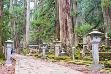 Wakayama, Japonya - Koya, Wakayama, Japonya 'daki Okunoin Mezarlığı. Koya Dağı UNESCO 'nun Dünya Mirası Bölgesi Kii Dağları' ndaki kutsal mekanlar ve hac rotalarıdır..