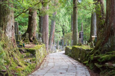 Wakayama, Japonya - Koya, Wakayama, Japonya 'daki Okunoin Mezarlığı. Koya Dağı UNESCO 'nun Dünya Mirası Bölgesi Kii Dağları' ndaki kutsal mekanlar ve hac rotalarıdır..
