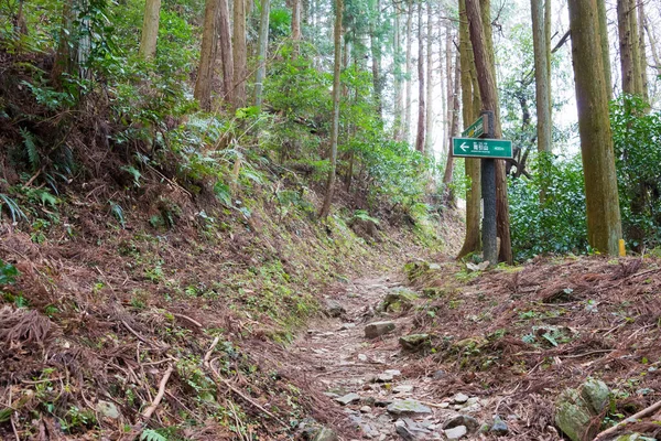 和歌山県 和歌山県九度山町石道 紀伊山地の霊場と参詣道 ユネスコ世界遺産 — ストック写真