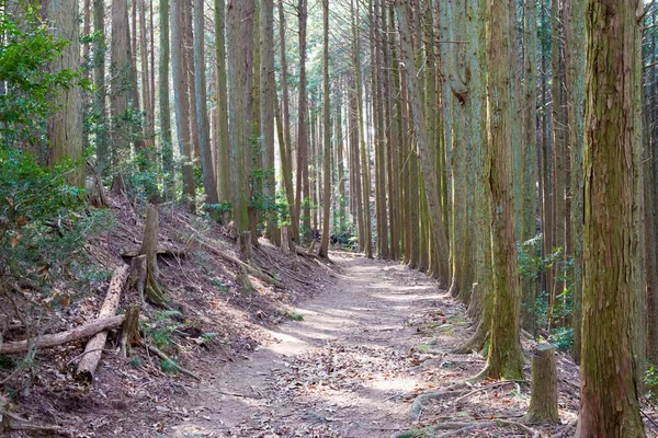 和歌山県 和歌山県九度山町石道 紀伊山地の霊場と参詣道 ユネスコ世界遺産 — ストック写真