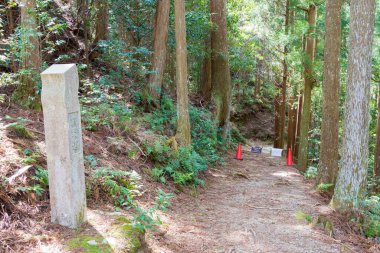 Wakayama, Japonya - Tanabe, Wakayama, Japonya 'daki Hosshinmon-oji yakınlarında Kumano Kodo. UNESCO 'nun Dünya Mirası Alanındaki 