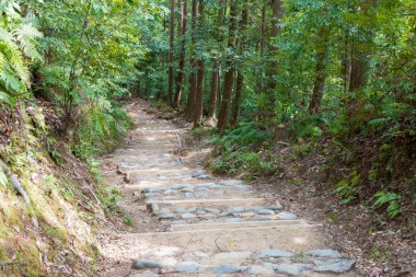 Wakayama, Japonya - Tanabe, Wakayama, Japonya 'da Kumano Kodo' da Fushiogami-oji ve Kumano Hongu Taisha (Nakahechi Route) arasında. UNESCO Dünya Mirasları Alanının bir parçasıdır..