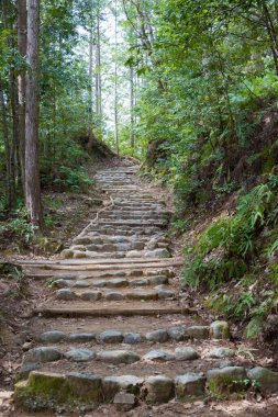 Wakayama, Japonya - Tanabe, Wakayama, Japonya 'da Kumano Kodo' da Fushiogami-oji ve Kumano Hongu Taisha (Nakahechi Route) arasında. UNESCO Dünya Mirasları Alanının bir parçasıdır..