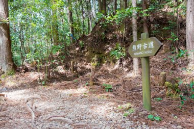 Wakayama, Japonya - Tanabe, Wakayama, Japonya 'da Kumano Kodo' da Fushiogami-oji ve Kumano Hongu Taisha (Nakahechi Route) arasında. UNESCO Dünya Mirasları Alanının bir parçasıdır..