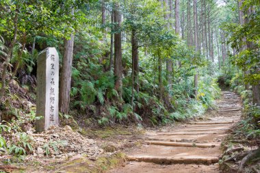 Wakayama, Japonya - Tanabe, Wakayama, Japonya 'da Kumano Kodo' da Fushiogami-oji ve Kumano Hongu Taisha (Nakahechi Route) arasında. UNESCO Dünya Mirasları Alanının bir parçasıdır..
