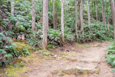 Wakayama, Japonya - Tanabe, Wakayama, Japonya 'da Kumano Kodo' da Fushiogami-oji ve Kumano Hongu Taisha (Nakahechi Route) arasında. UNESCO Dünya Mirasları Alanının bir parçasıdır..