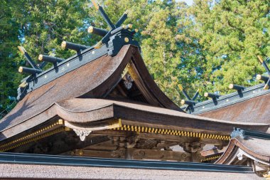 Wakayama, Japonya - Tanabe, Wakayama, Japonya 'da Kumano Hongu Taisha. UNESCO 'nun Dünya Mirası Alanındaki 