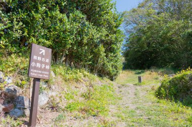 Wakayama, Japonya - Kokuji-Toge Geçidi Kumano Kodo (Nakahechi Yolu) Nachikatsuura, Wakayama, Japonya. UNESCO Dünya Mirasları Alanının bir parçasıdır..