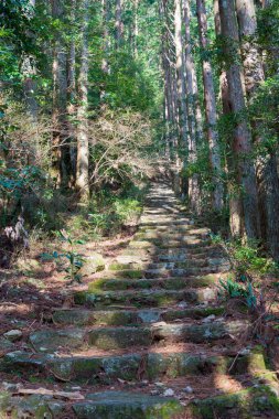 Wakayama, Japonya - Nachikatsuura, Wakayama, Japonya 'da Kumano Nachi Taisha yakınlarında Okumotorigoe Route. UNESCO Dünya Mirasları Alanının bir parçasıdır..