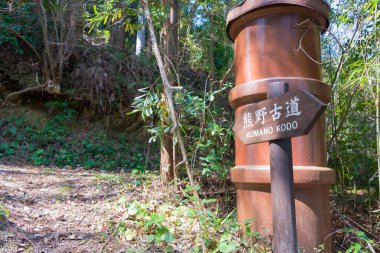Wakayama, Japonya - Nachikatsuura, Wakayama, Japonya 'da Kumano Kodo' daki Okuji-Toge Geçidi (Nakahechi Route). UNESCO Dünya Mirasları Alanının bir parçasıdır..